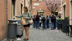 Hanami ai piedi del Fuji: la primavera 2026 a Fujiyoshida non sarà come le altre